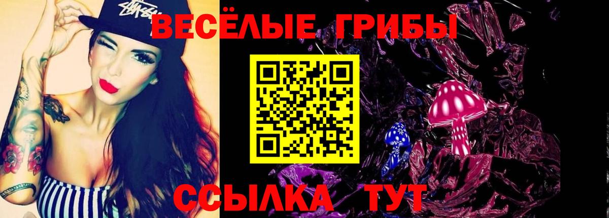Галлюциногенные грибы GOLDEN TEACHER  Вход с VPN  Котлас 