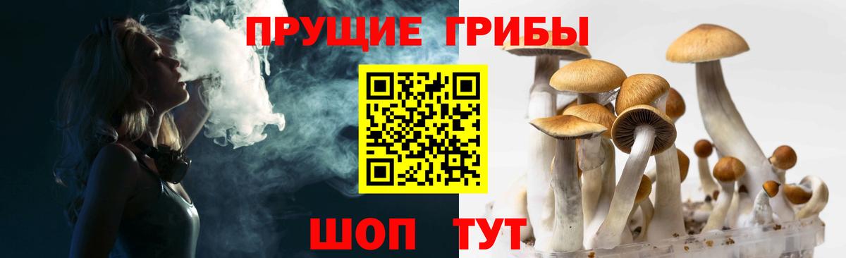 Псилоцибиновые грибы MAGIC MUSHROOMS Котлас